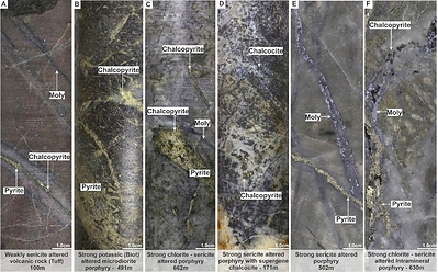 Figure 2. Representative core photographs from holes MD-065 (A - C) and MD-066 (D - F) illustrating porphyry-style mineralization, hydrothermal alteration, and vein-hosted copper and molybdenum mineralization.