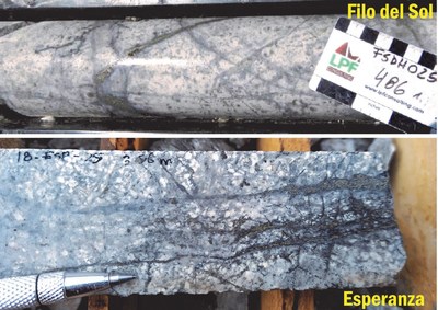 Figure 2: White bleaching (sericite) and D vein (pyrite with white haloes) stockwork development, potential evidence of a strongly telescoped system where a deep porphyry drives a sericite overprint onto a shallower zone. (CNW Group/Libero Copper & Gold Corporation.)