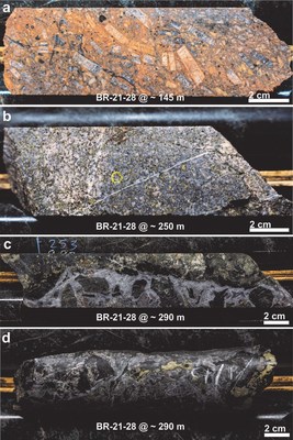 Figure 2: Textural examples of mineralization present in the first drill hole of the season BR-21-28: (a) megacrystic syenitic porphyry with fine disseminated pyrite ± chalcopyrite, (b) abundant disseminated chalcopyrite and pyrite hosted in an equigranular quartz monzodiorite,  and (c and d) blebby chalcopyrite and pyrite hosted in a carbonate-rich breccia vein with chlorite-rich selvages. (CNW Group/Libero Copper & Gold Corporation.)