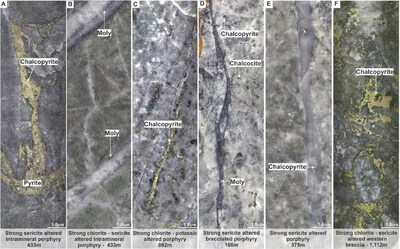 Figure 2. Representative core photographs from MD-063 (Figures 2A-C) and MD-064 (Figures 2D-F) illustrating porphyry-style mineralization, hydrothermal alteration, and vein-hosted copper and molybdenum mineralization. (CNW Group/COPPER GIANT RESOURCES CORP.)