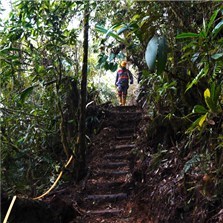 Photo 1 – example access pathway to Mocoa camp and drill pads (CNW Group/Libero Copper & Gold Corporation.)