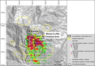Figure 2: Soil sample geochemical results for Cu and target areas (CNW Group/Libero Copper & Gold Corporation.)