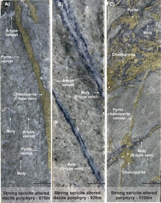 Figure 4 - Intra-mineral porphyry at the Mocoa porphyry system. A). Strong sericite altered dacite porphyry with late D-type (pyrite) veinlet crossing early C-type (chalcopyrite) vein. Local remanent of A-type veinlets and minor content of disseminated molybdenite (moly). B). Strong sericite altered dacite porphyry with B-type veins (moly + quartz) cross-cutting early A-type veins (barren quartz). C). Strong sericite altered dacite porphyry with matrix in-fill of chalcopyrite-pyrite-molybdenite (moly). (CNW Group/Libero Copper & Gold Corporation)