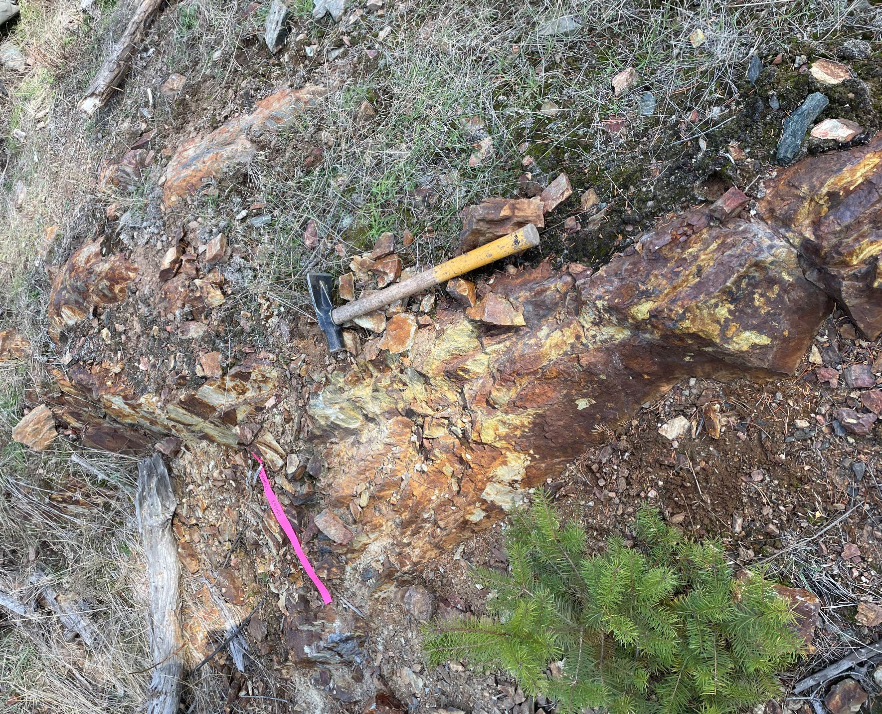Extracted image 6