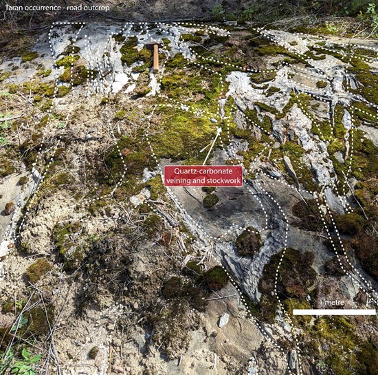 Extracted image 3